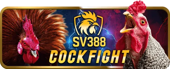 Đá gà cựa dao F8BET365
